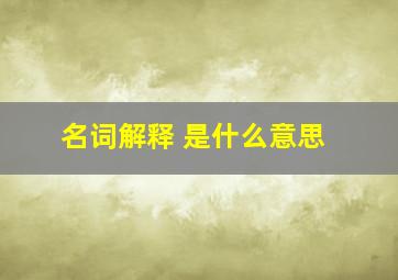 名词解释 是什么意思